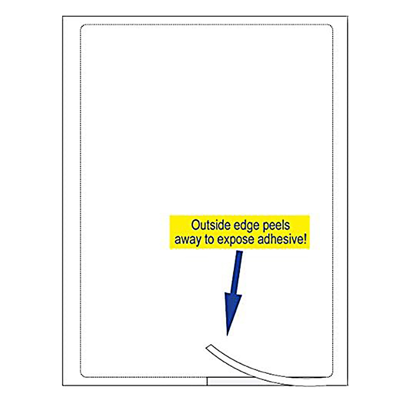 Laser Window Sticker Exterior 1 Part Buyers Guides - AS IS